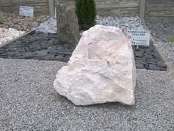 kamień ogrodowy