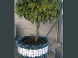 kamień ogrodowy